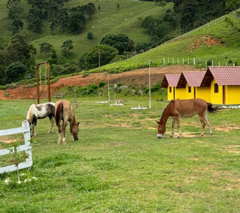 Photo of Others in Camanducaia