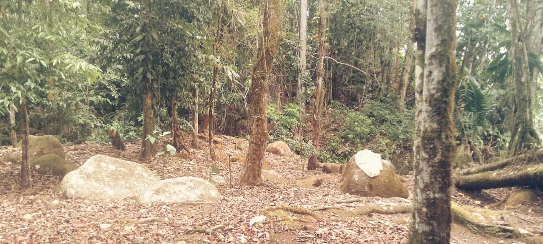 Photo of Others in Pastaza