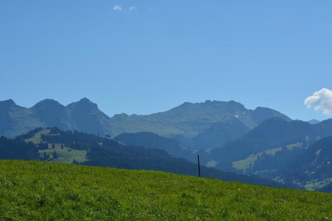 Photo of Others in Schoenried