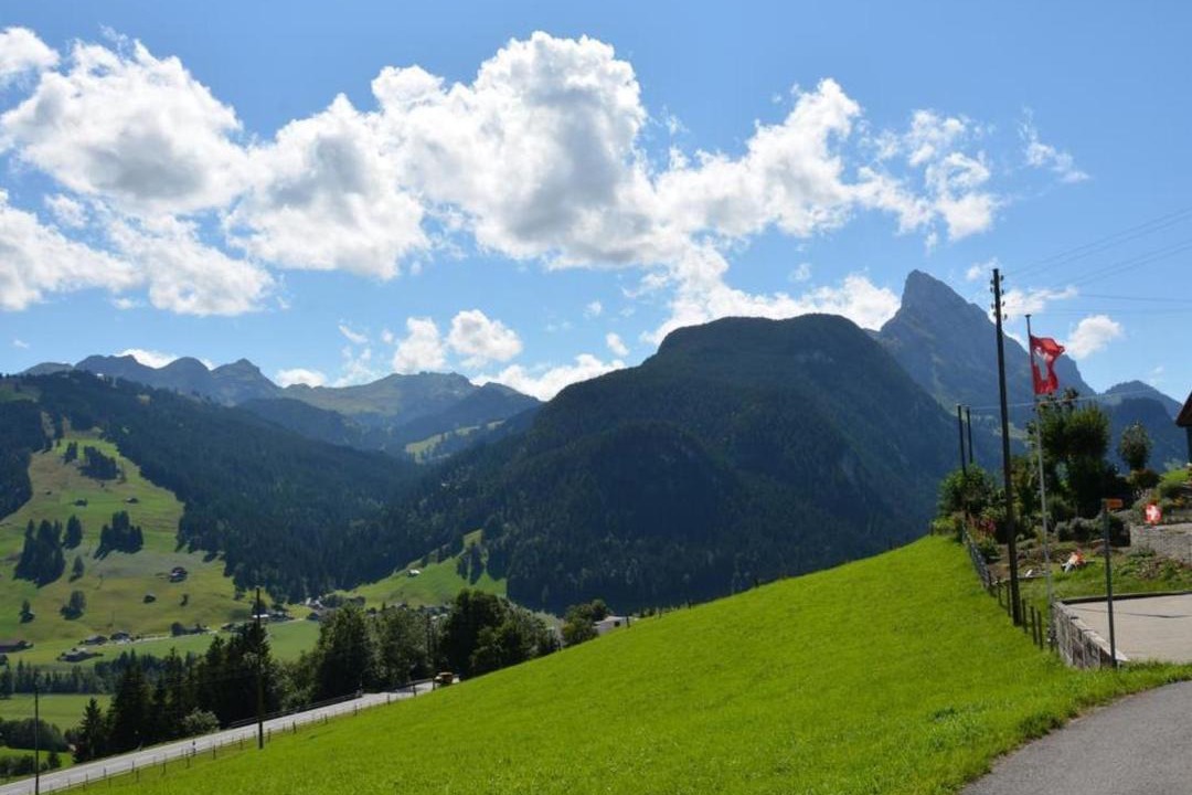 Photo of Others in Saanen