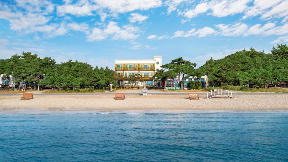 Photo of Others in Taean