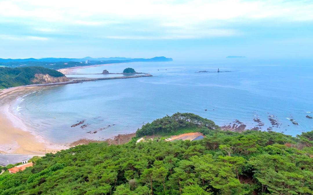 Photo of Others in Taean