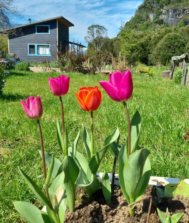 Photo of Outdoor in Llifen