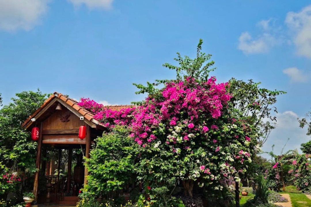 Photo of Outdoor in Pleiku