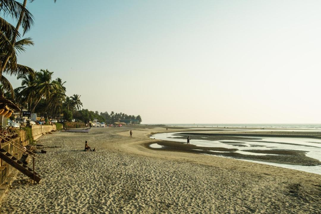 Photo of Others in Mandrem