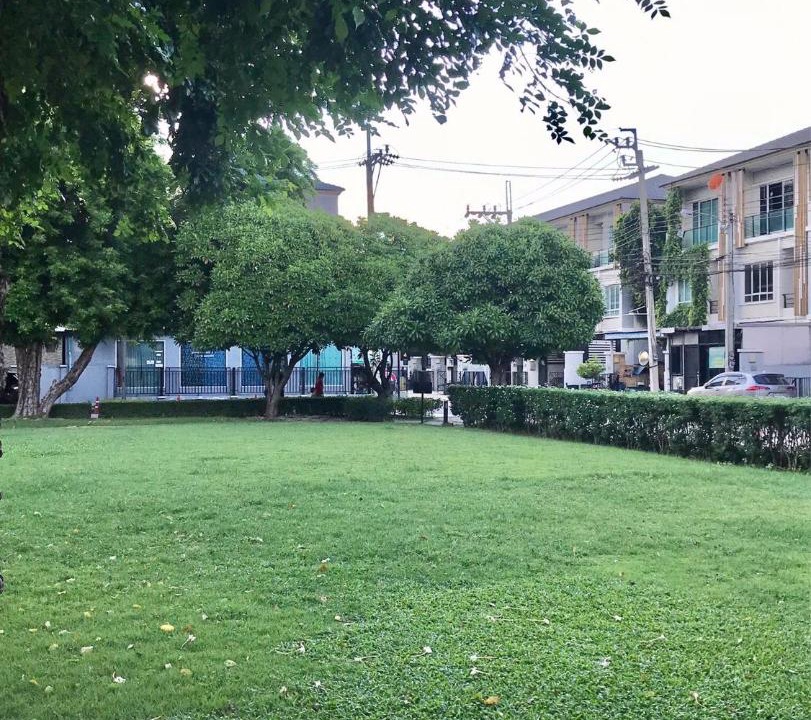 Photo of Others in Ban Mai