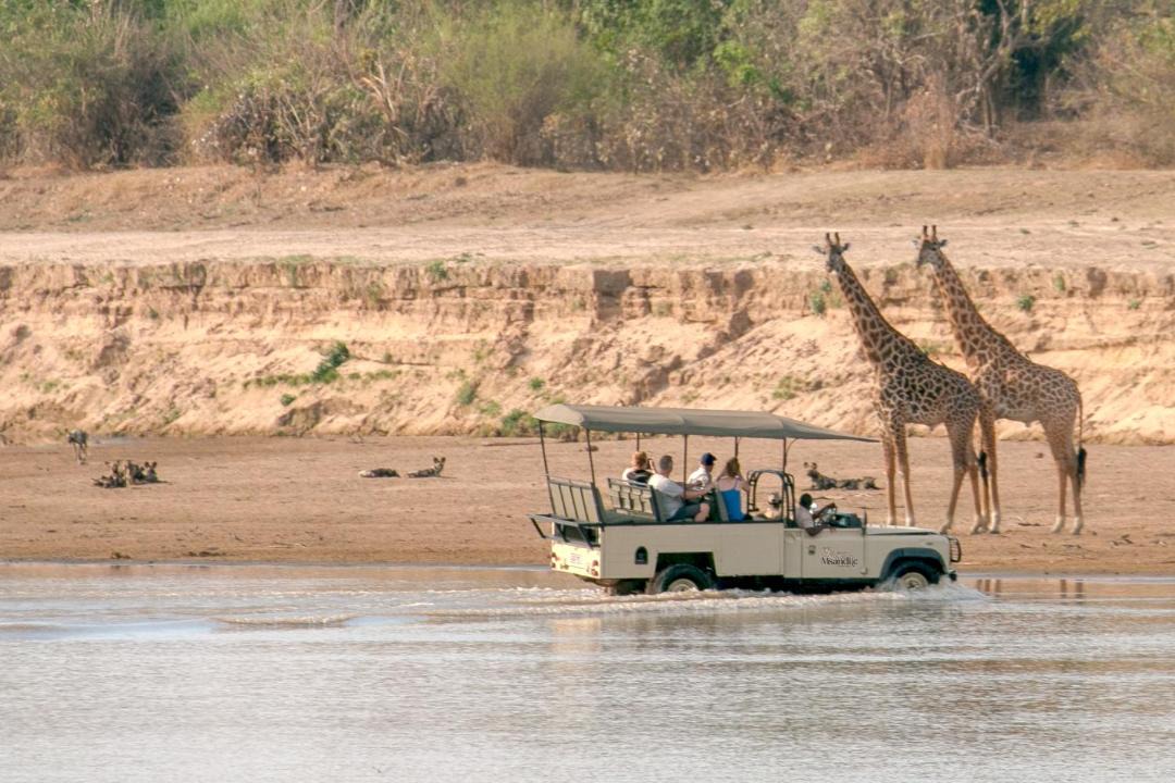 Photo of Others in South Luangwa National Park