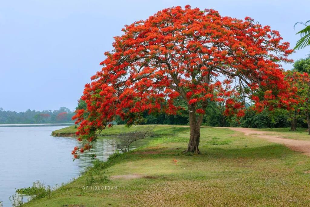 Photo of Others in Van Giang