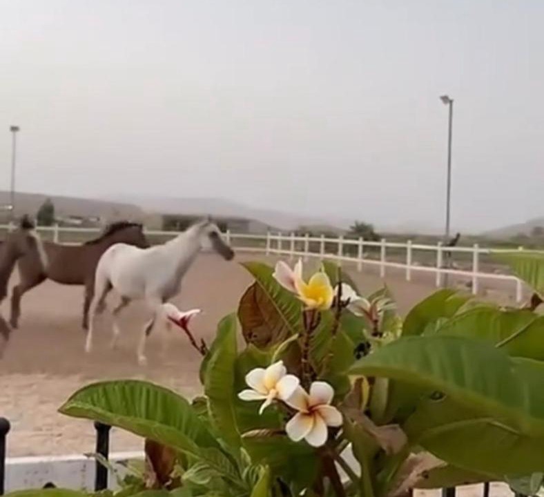 Photo of Outdoor in Al Kamil Wal Wafi