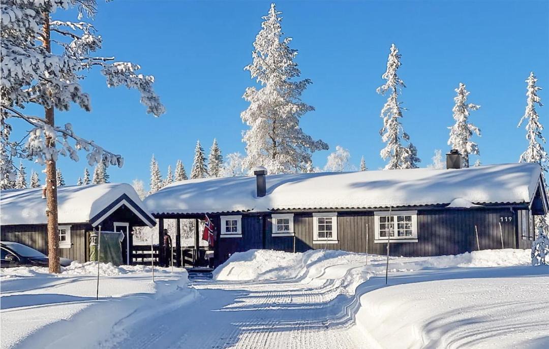 Photo of Others in Trysil