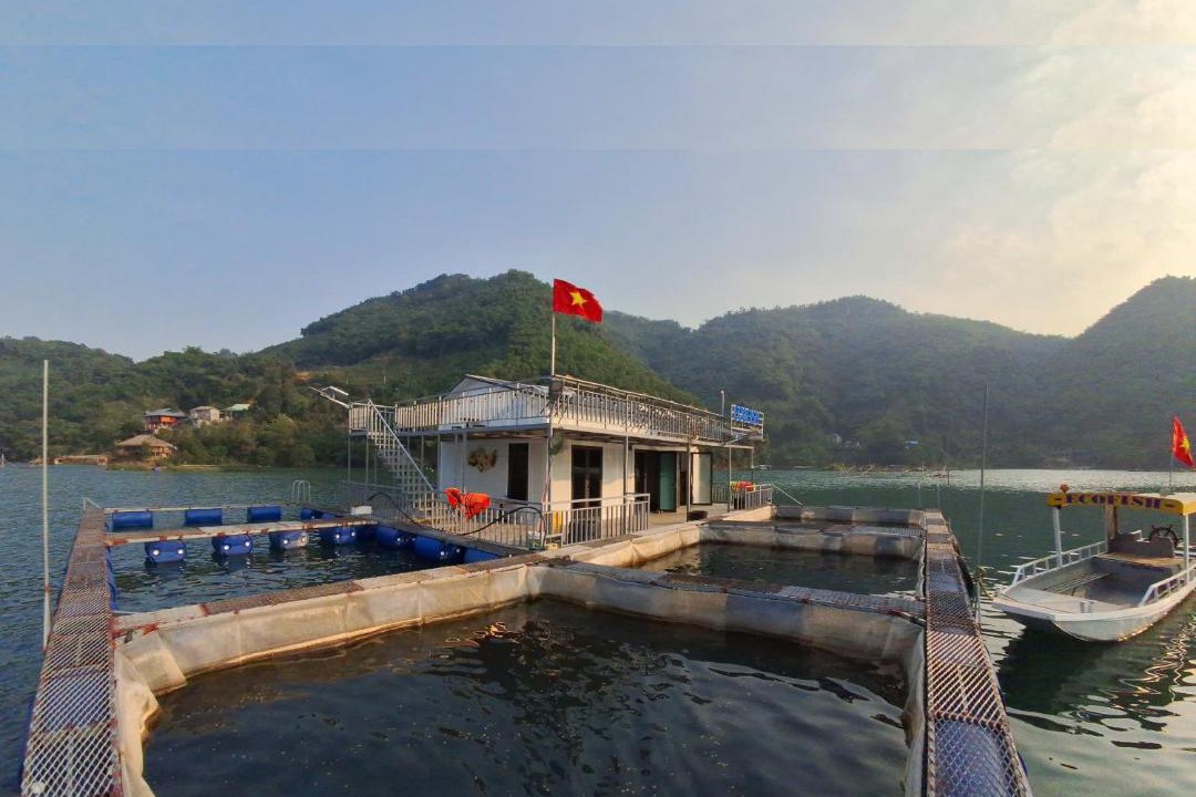 Photo of Others in Hoa Binh