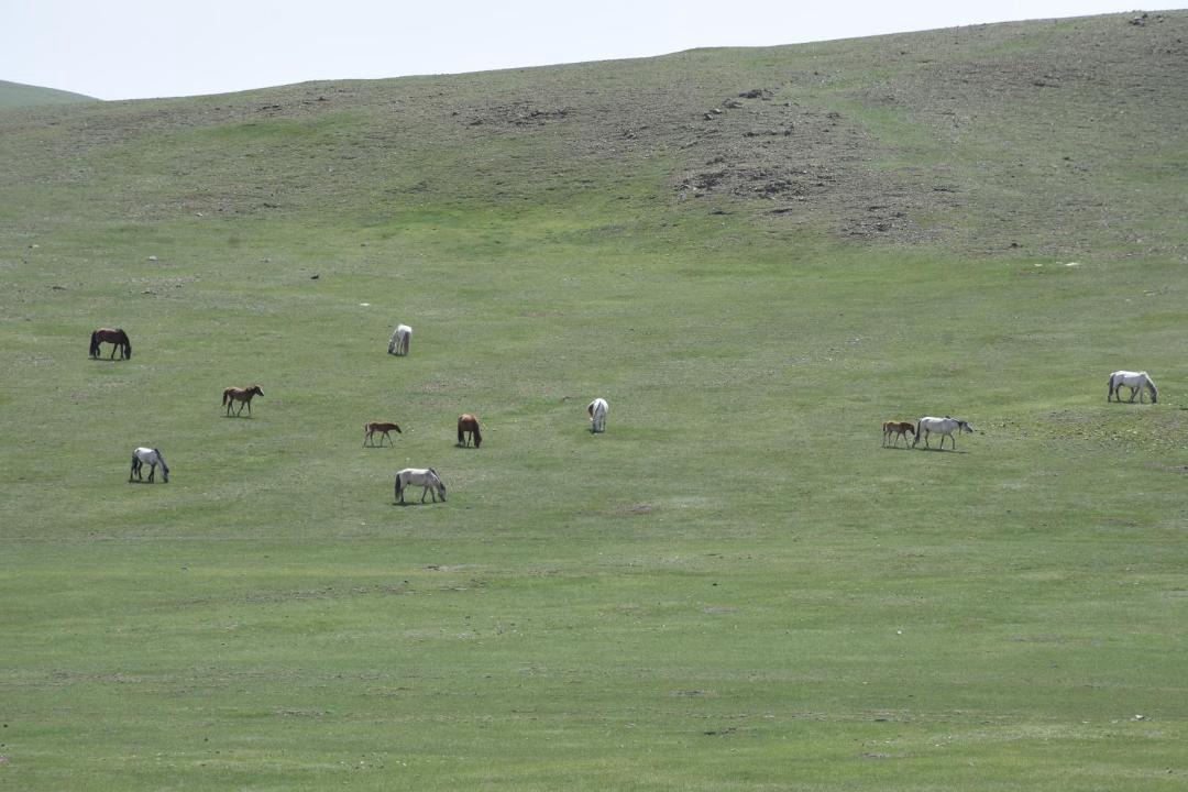 Photo of Others in Sergelen