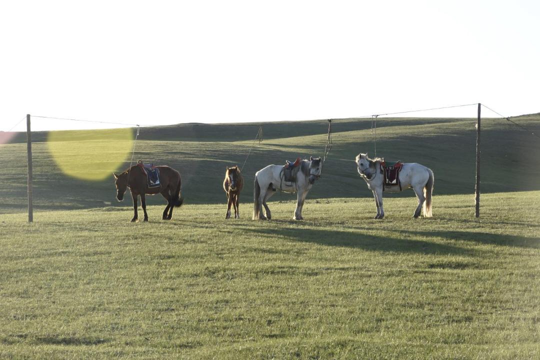 Photo of Others in Sergelen