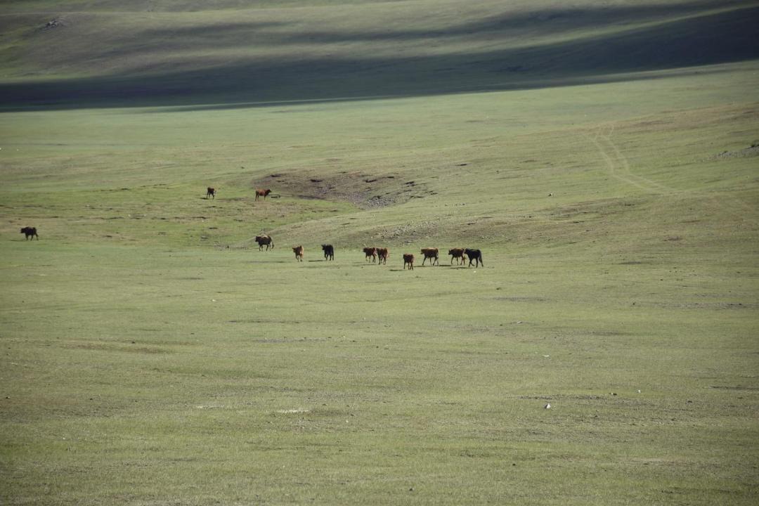 Photo of Others in Sergelen