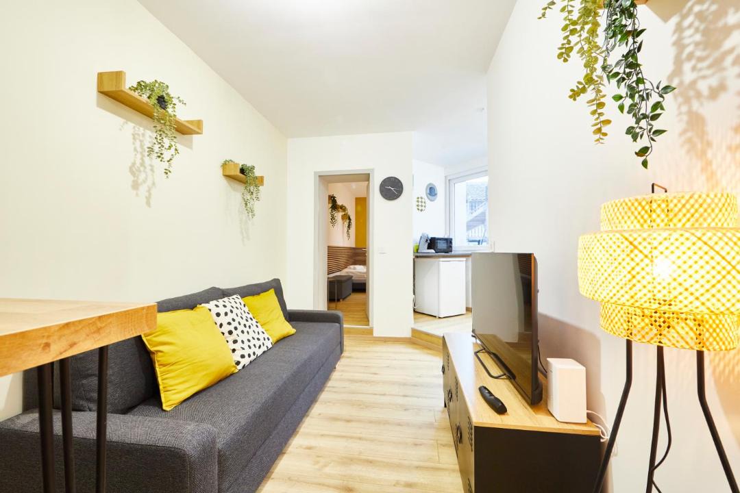 Photo of Livingroom in Mulhouse