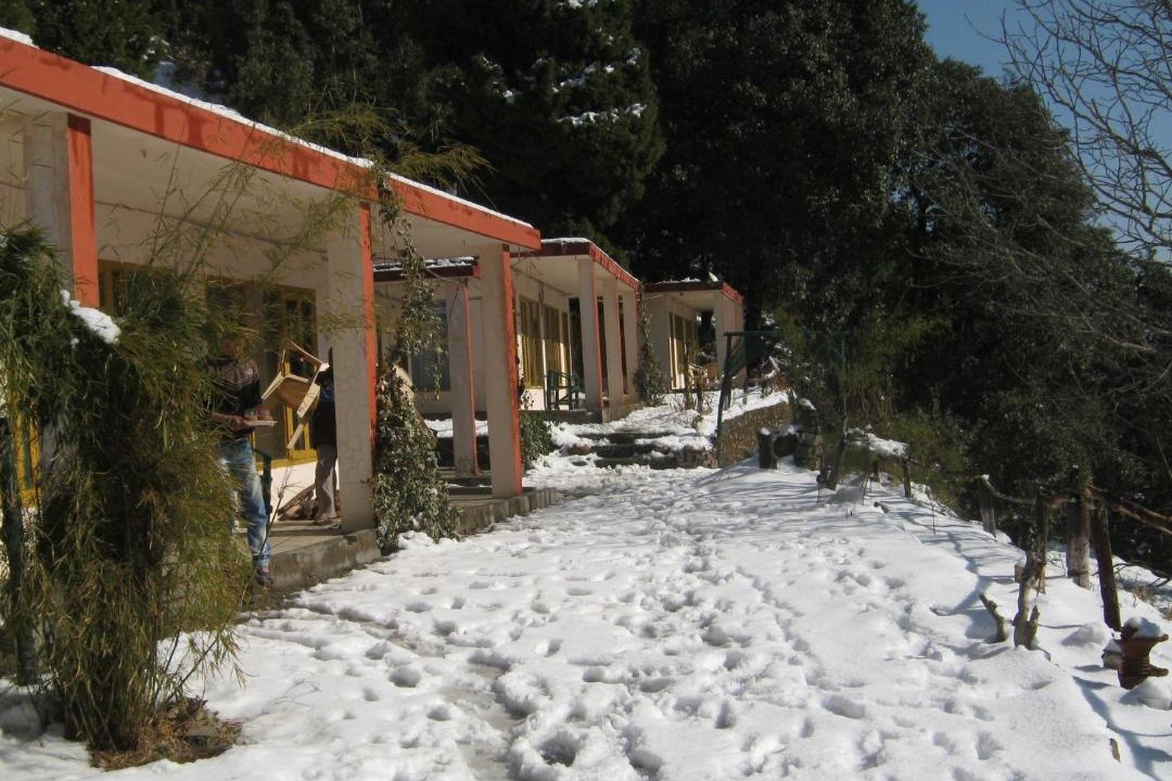 Photo of Others in Pangot