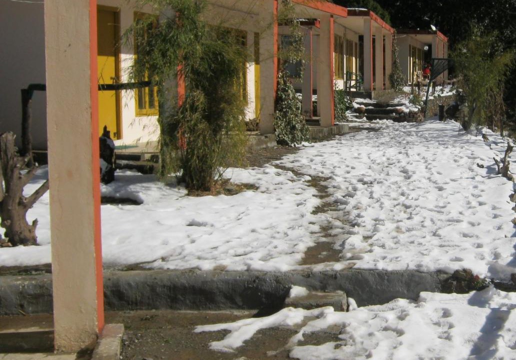 Photo of Others in Pangot