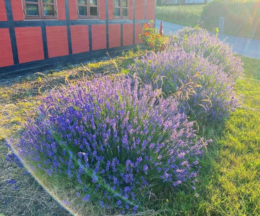 Photo of Others in Frørup