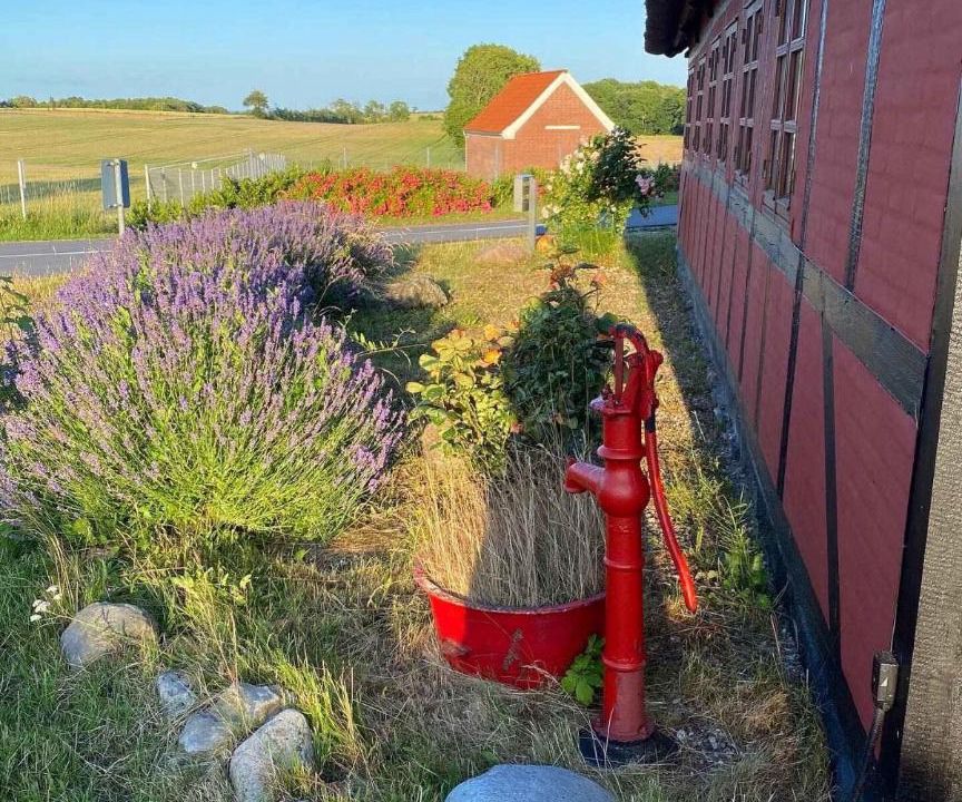 Photo of Others in Frørup