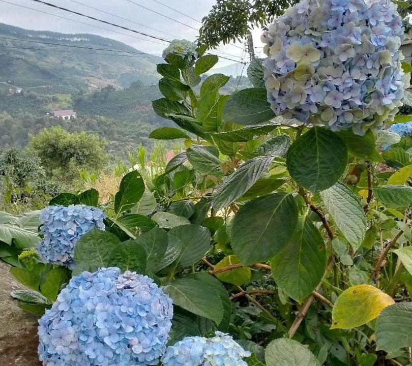 Photo of Outdoor in Lam Ha