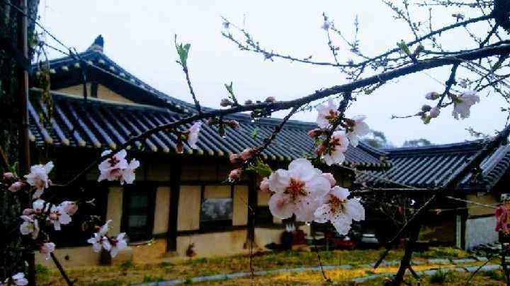 Photo of Others in Bonghwa