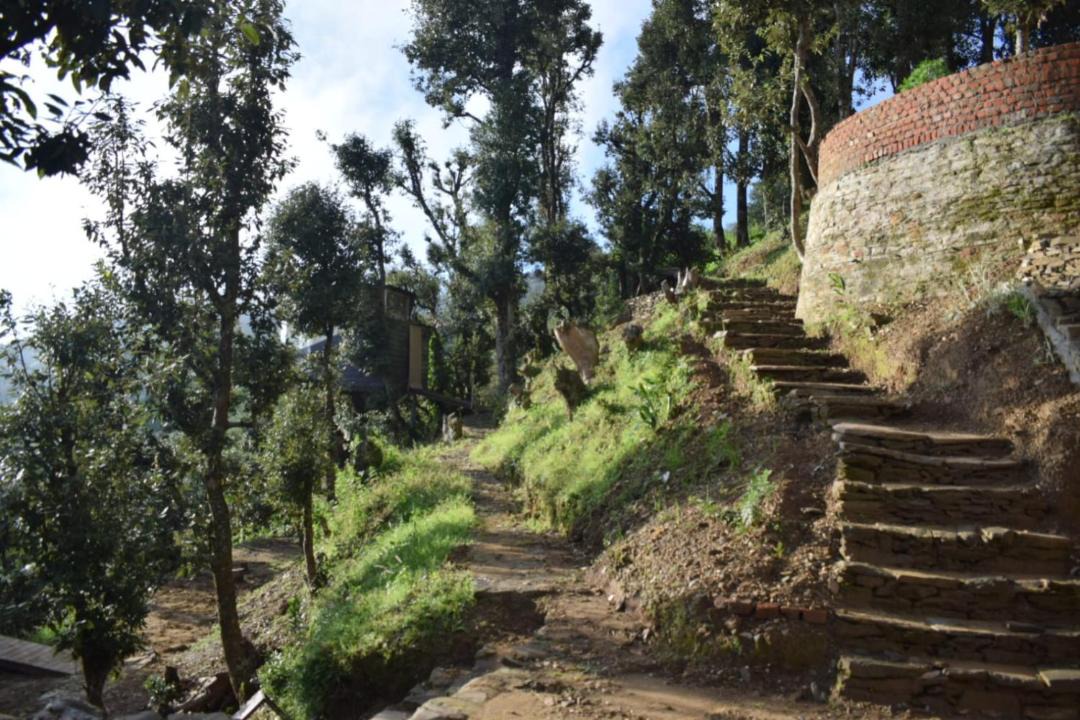 Photo of Others in Almora