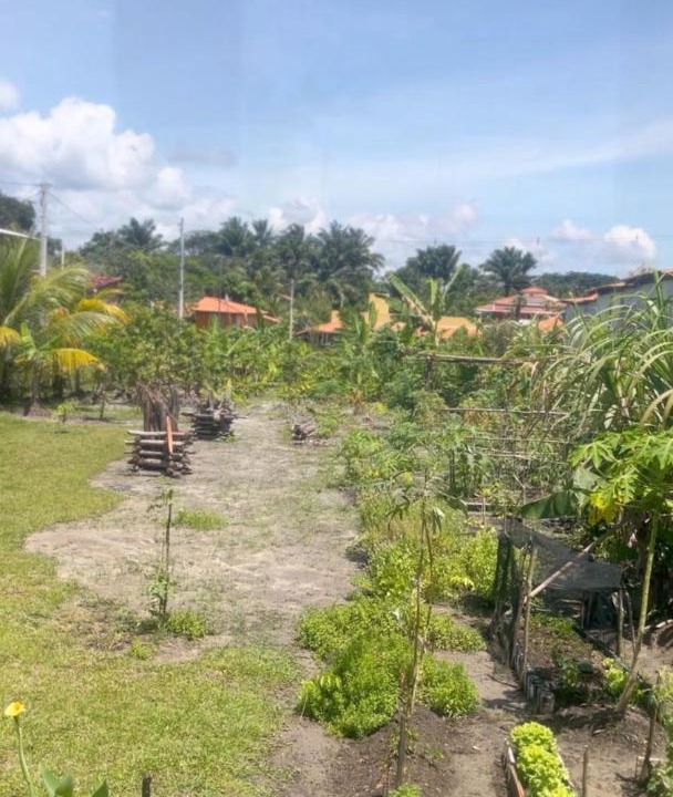 Photo of Others in Velha Boipeba