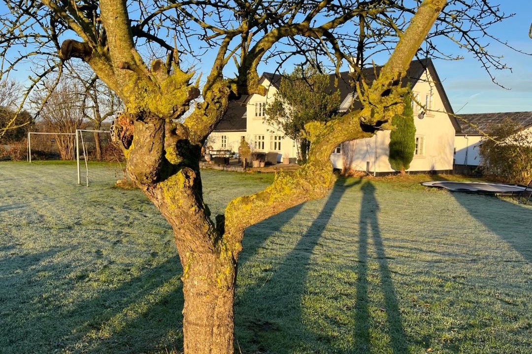 Photo of Others in Lystrup