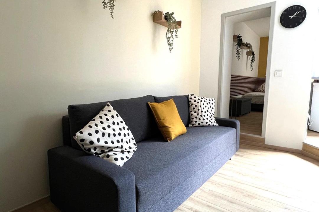 Photo of Livingroom in Mulhouse