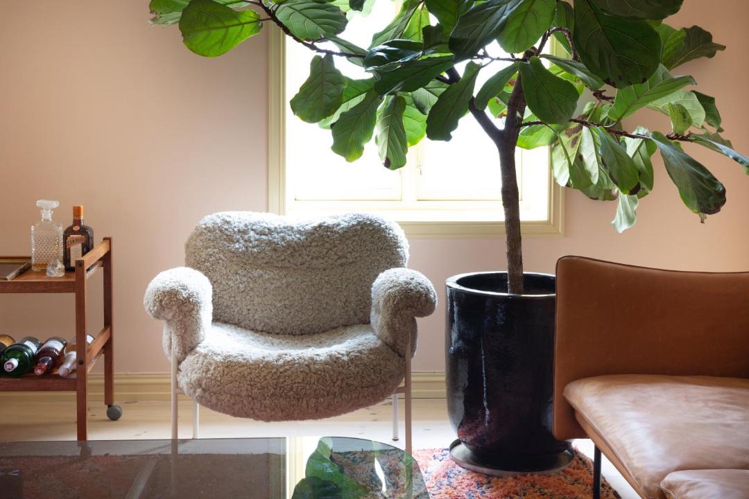 Photo of Livingroom in Toyen