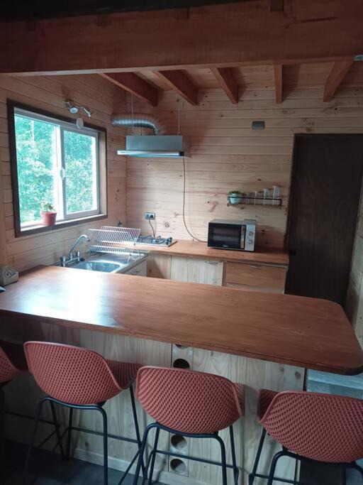 Photo of Kitchen in Puerto Varas