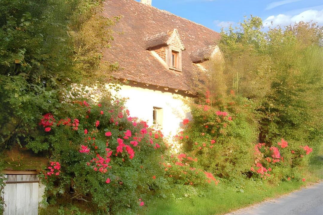 Photo of Others in Coudray-au-Perche