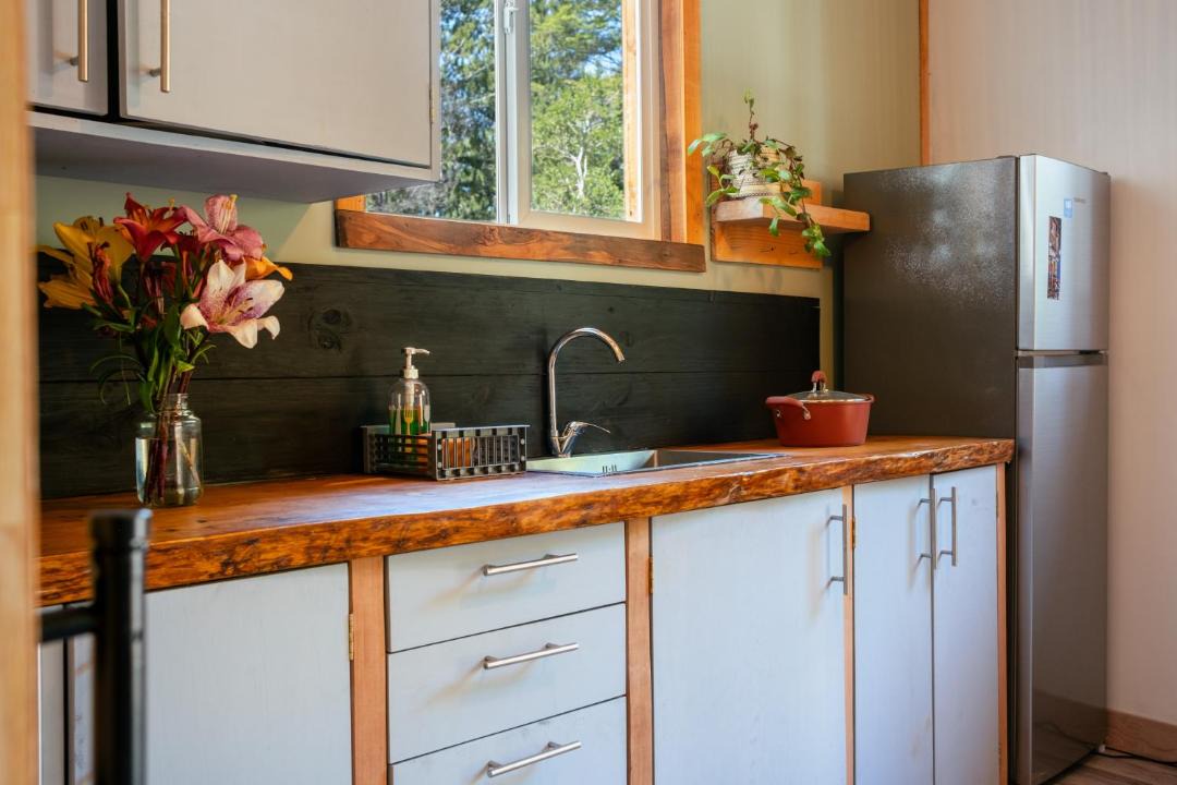 Photo of Kitchen in Puerto Varas