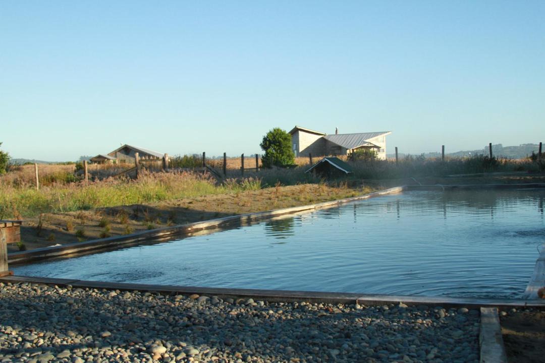 Photo of Others in Ancud