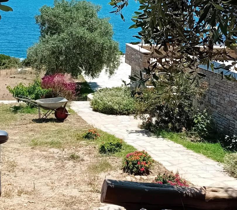 Photo of Others in Thasos