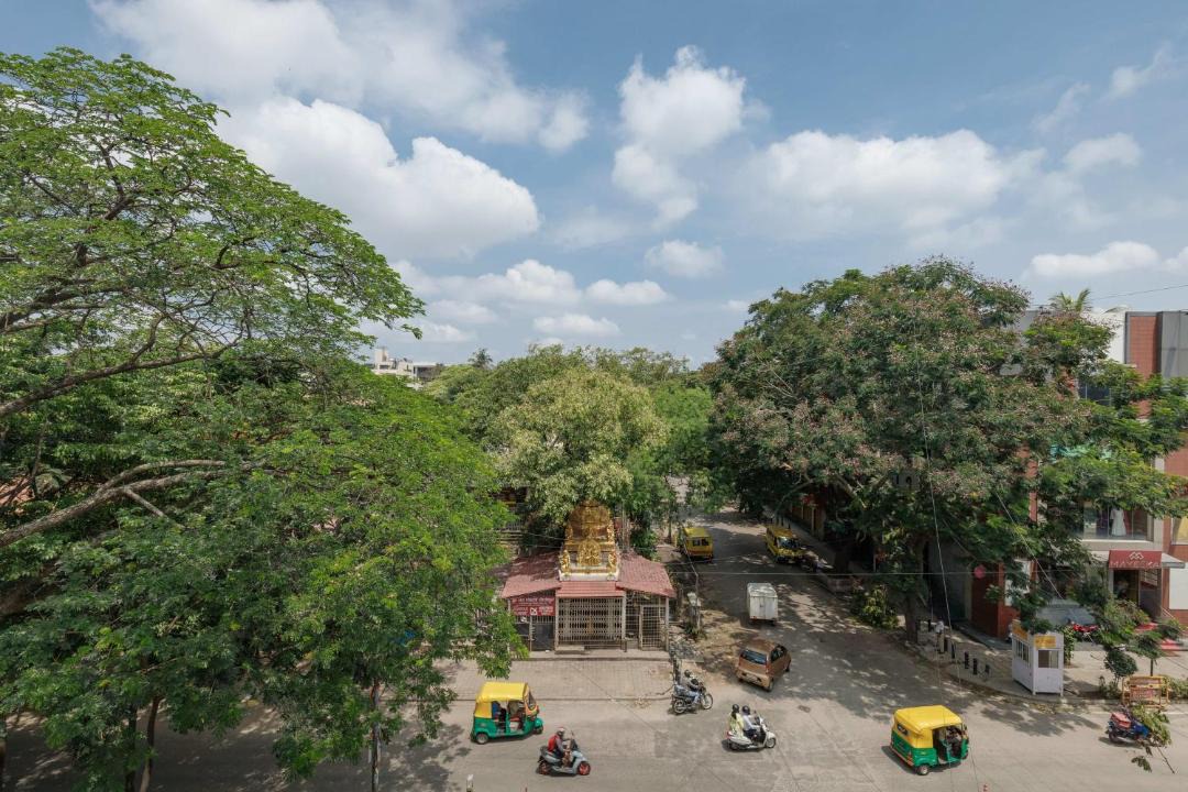 Photo of Others in Jayanagar