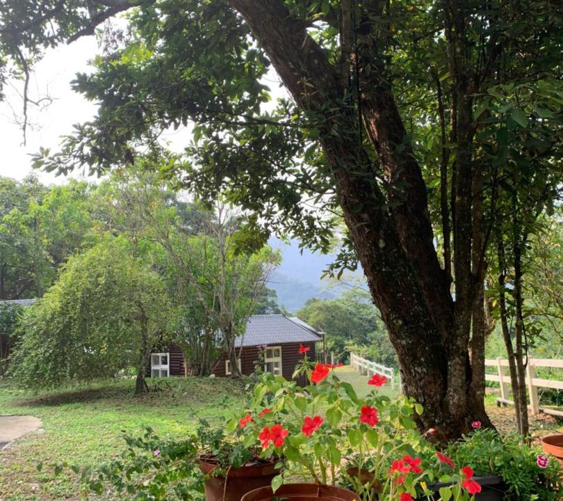 Photo of Others in Nanzhuang