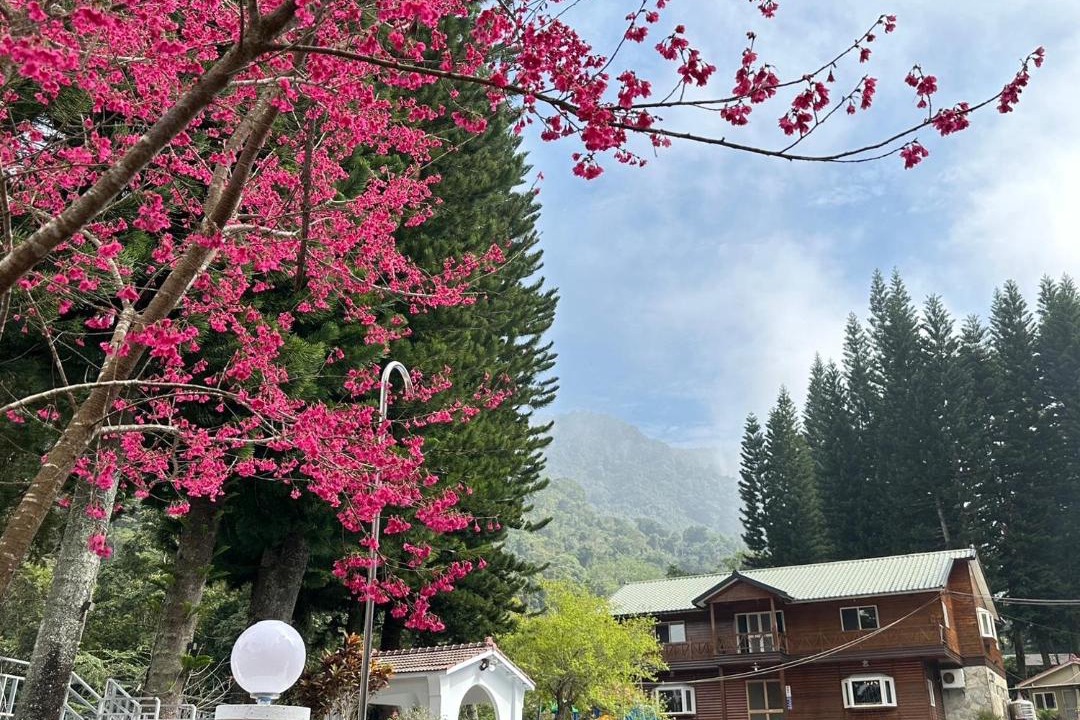 Photo of Outdoor in Nanzhuang