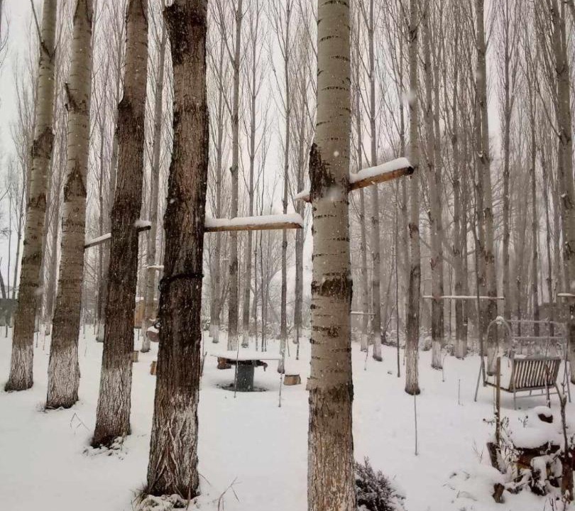 Photo of Others in Aghavnadzor
