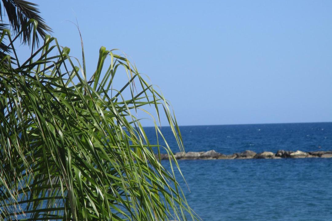 Photo of Others in Potamos tis Germasogeias