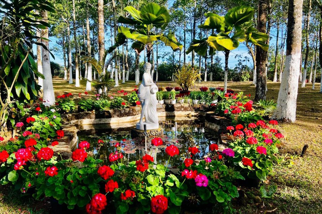 Photo of Outdoor in Bao Loc