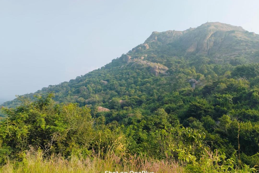 Photo of Others in Kunigal