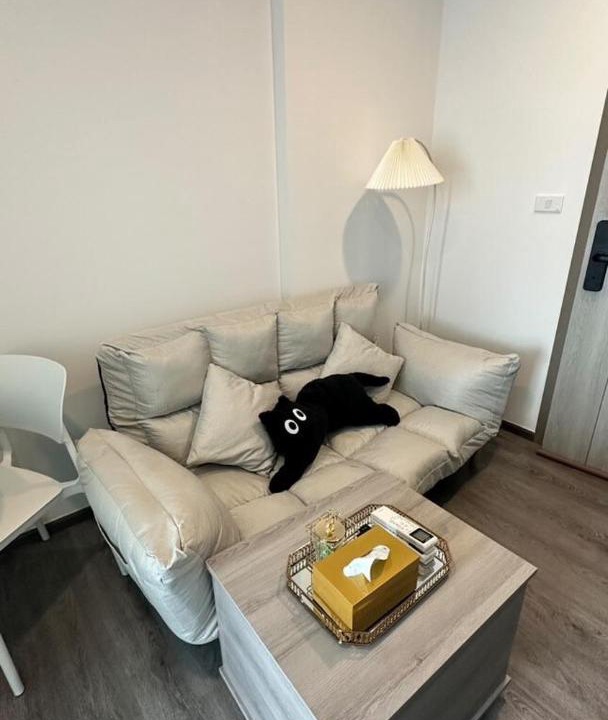Photo of Livingroom in Anusawari