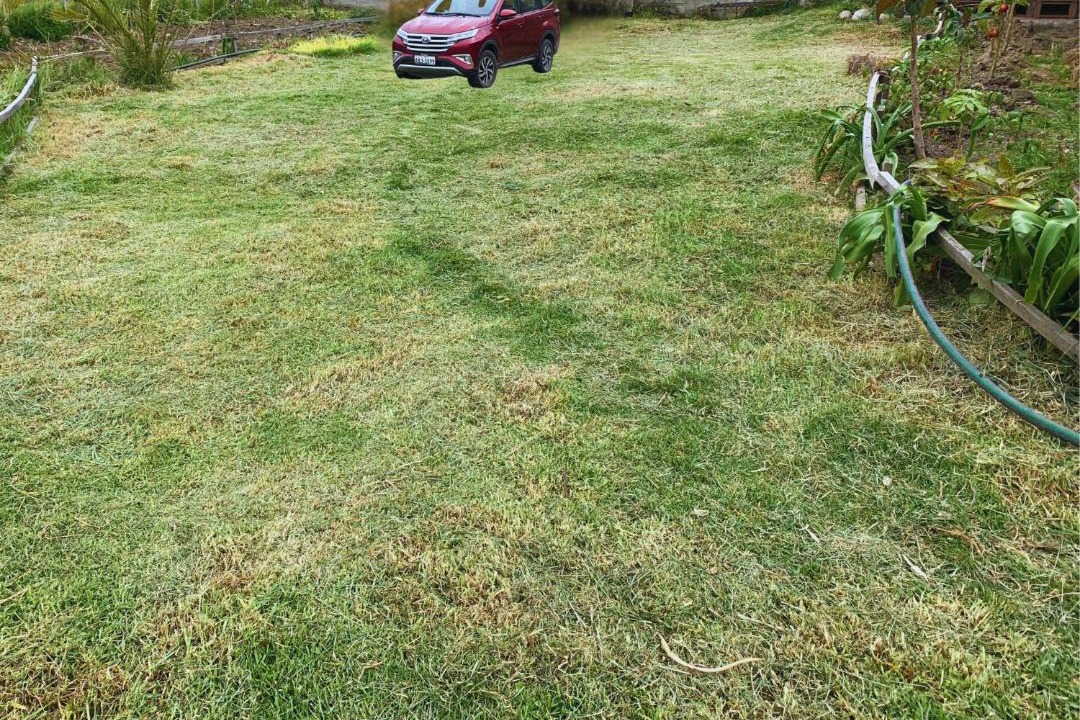 Photo of Outdoor in El Tambo