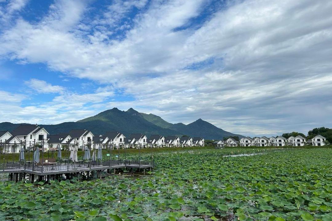 Photo of Others in Thanh Thuy