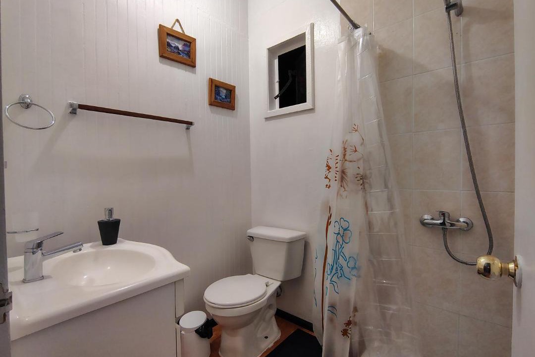 Photo of Bathroom in Araucania Region