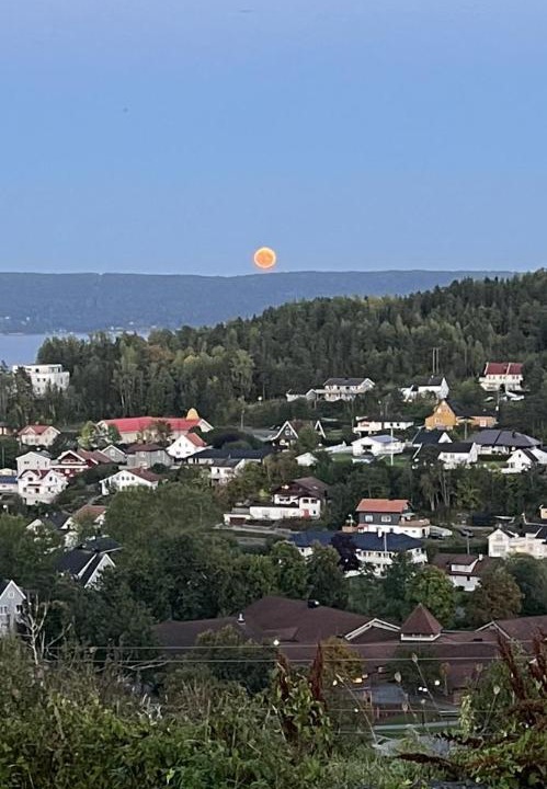 Photo of Others in Royken