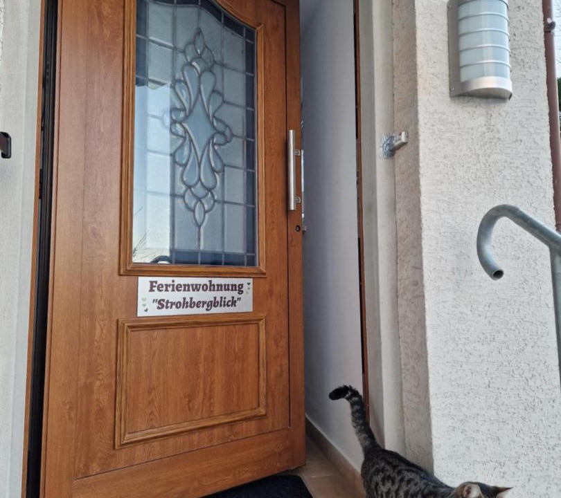 Photo of Others in Mengersgereuth-Hammern