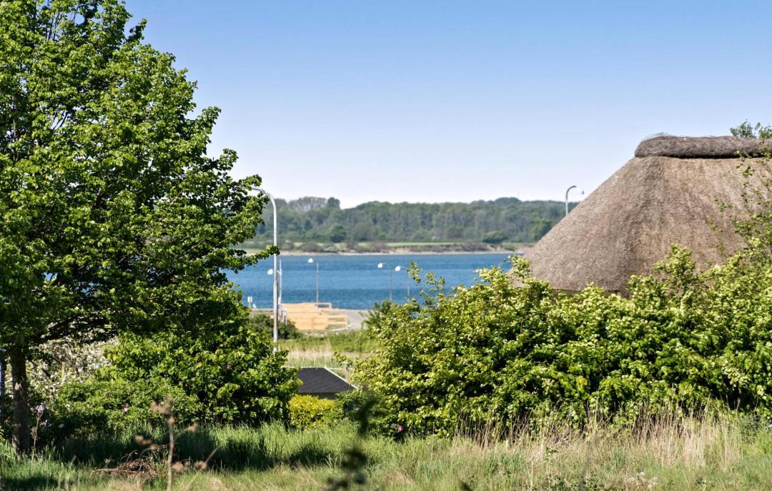Photo of Others in Arø