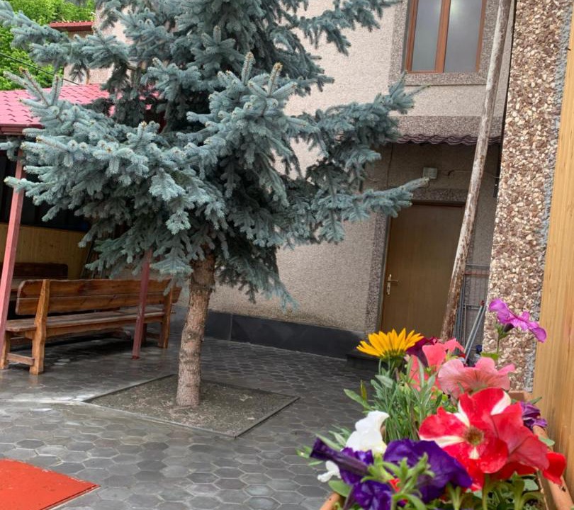 Photo of Others in Tsaghkadzor